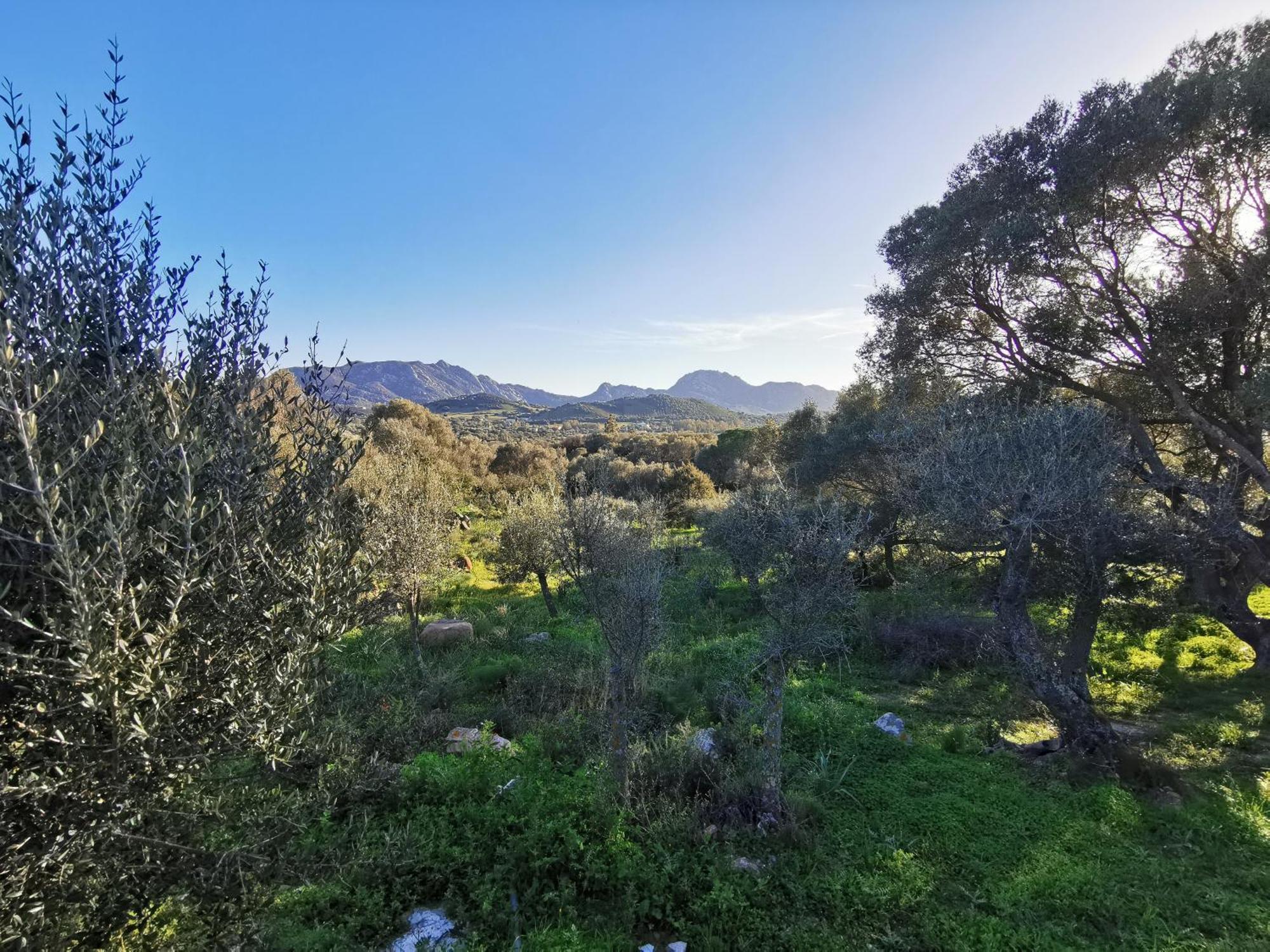 Rudalza Casa Mariposa Porto Rotondoヴィラ エクステリア 写真