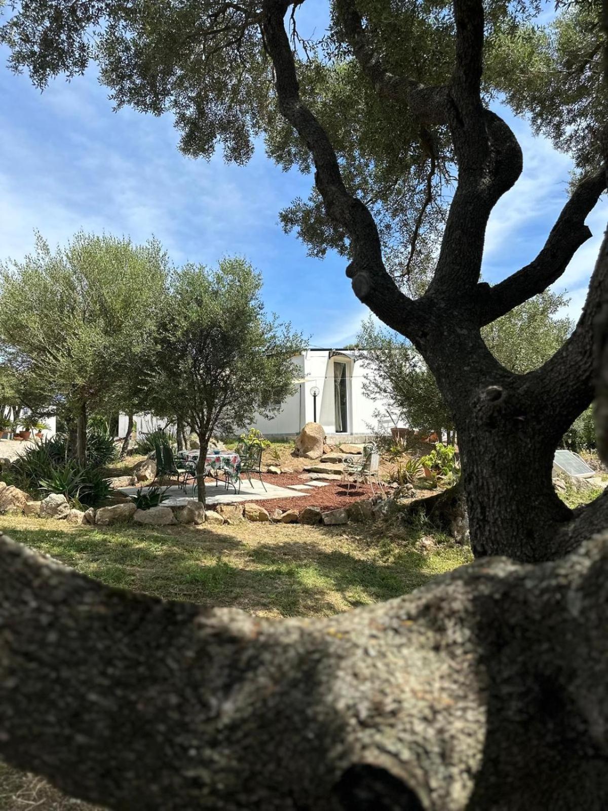 Rudalza Casa Mariposa Porto Rotondoヴィラ エクステリア 写真